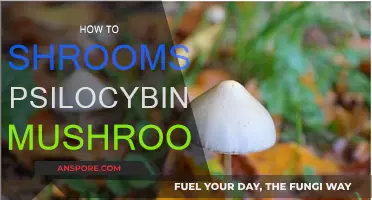 A Beginner's Guide to Shrooming with Psilocybin Mushrooms