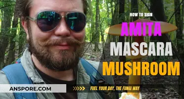 Mastering the Art of Signing Amita Mascara Mushrooms: A Step-by-Step Guide