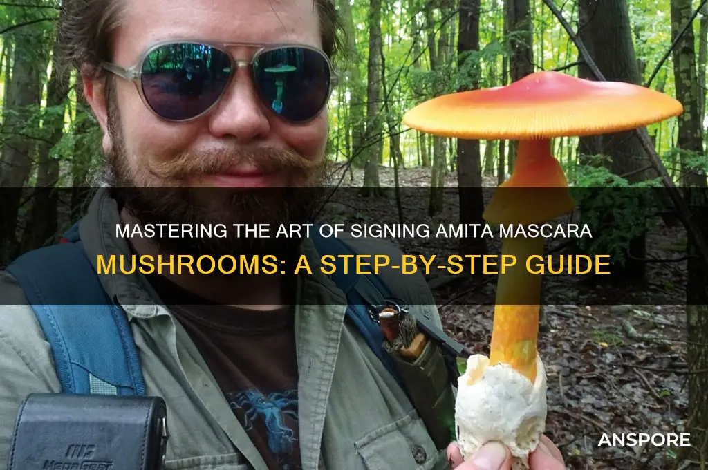 how to sign amita mascara mushrooms