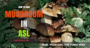 Mastering Mushroom Sign Language: A Step-by-Step Guide to ASL Signing