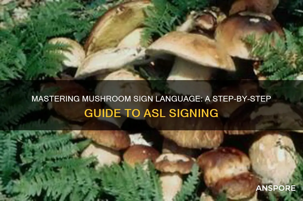 how to sign mushroom in asl