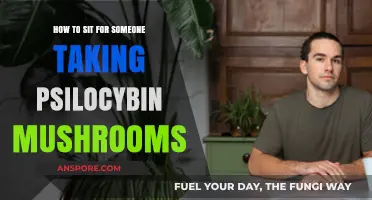 Guiding a Psilocybin Journey: Essential Tips for Trip Sitters