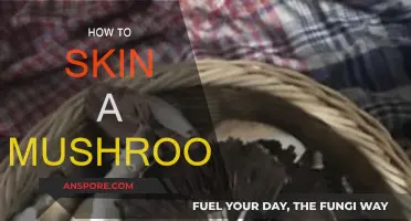 The Art of Mushroom Skinning: A Step-by-Step Guide