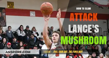 Mastering the Slam Attack: Defeating Lance's Mushroom with Precision