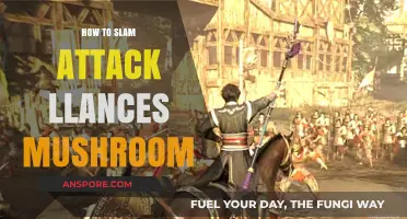 Mastering the Slam Attack: Defeating Llances Mushroom in Combat