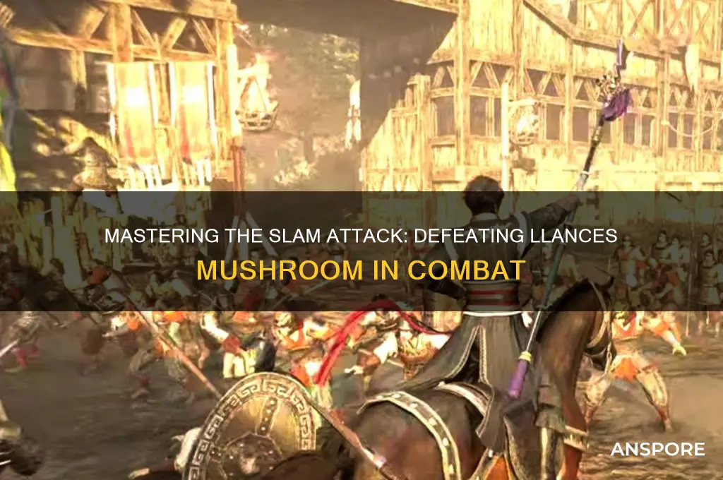 how to slam attack llances mushroom