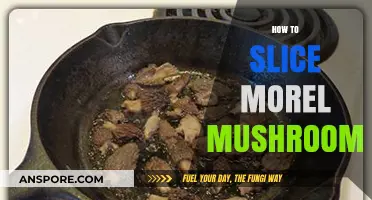 Mastering Morel Mushroom Slicing: Techniques for Perfect Cuts Every Time