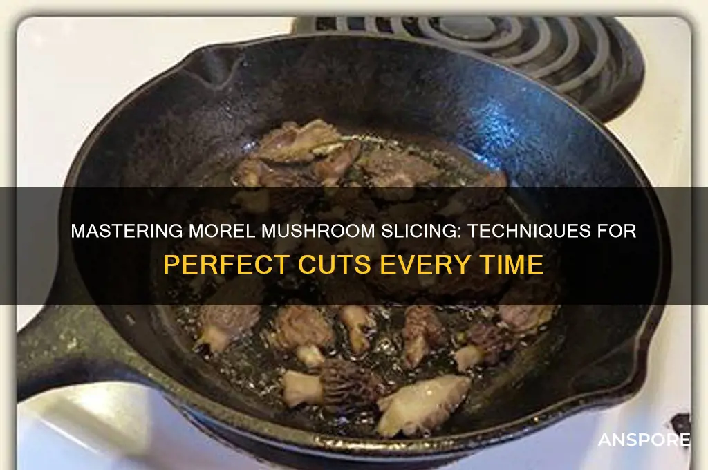 how to slice morel mushrooms