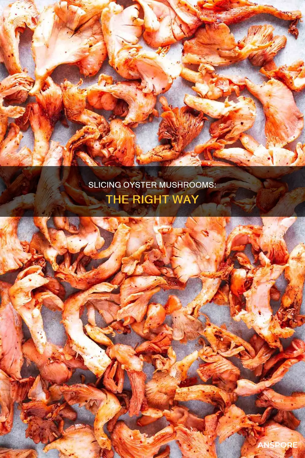 how to slice oyster mushroom