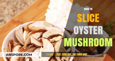 Slicing Oyster Mushrooms: The Right Technique