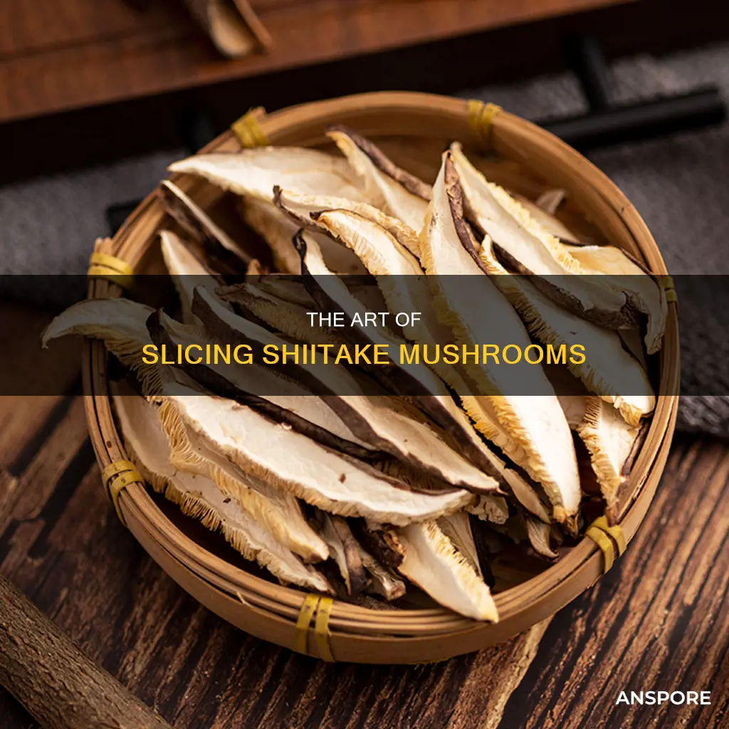 how to slice shiitake mushroom