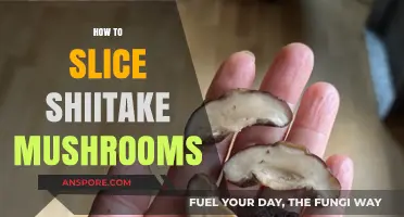 Slicing Shiitake Mushrooms: Techniques and Tips