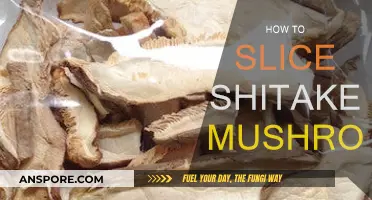 Slicing Shiitake Mushrooms: Techniques and Tips for Beginners