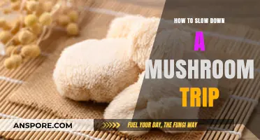 Calm the Storm: Effective Strategies to Slow Down a Mushroom Trip