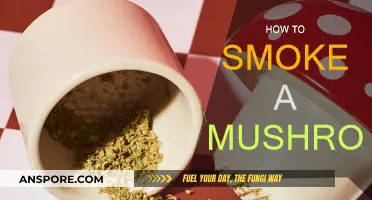 Mastering the Art of Smoking Mushrooms