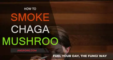 Smoking Chaga Mushrooms: A Step-by-Step Guide