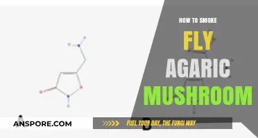 Smoking Fly Agaric Mushrooms: A Comprehensive Guide to Safe Practices