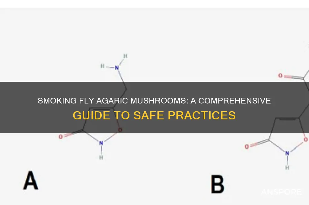 how to smoke fly agaric mushrooms