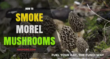 Smoking Morel Mushrooms: A Step-by-Step Guide to Enhance Flavor
