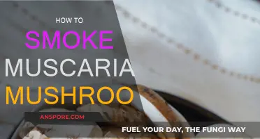 Smoking Muscaria Mushrooms: A Step-by-Step Guide