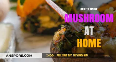 Mastering Mushroom Smoking: A Step-by-Step Home Guide