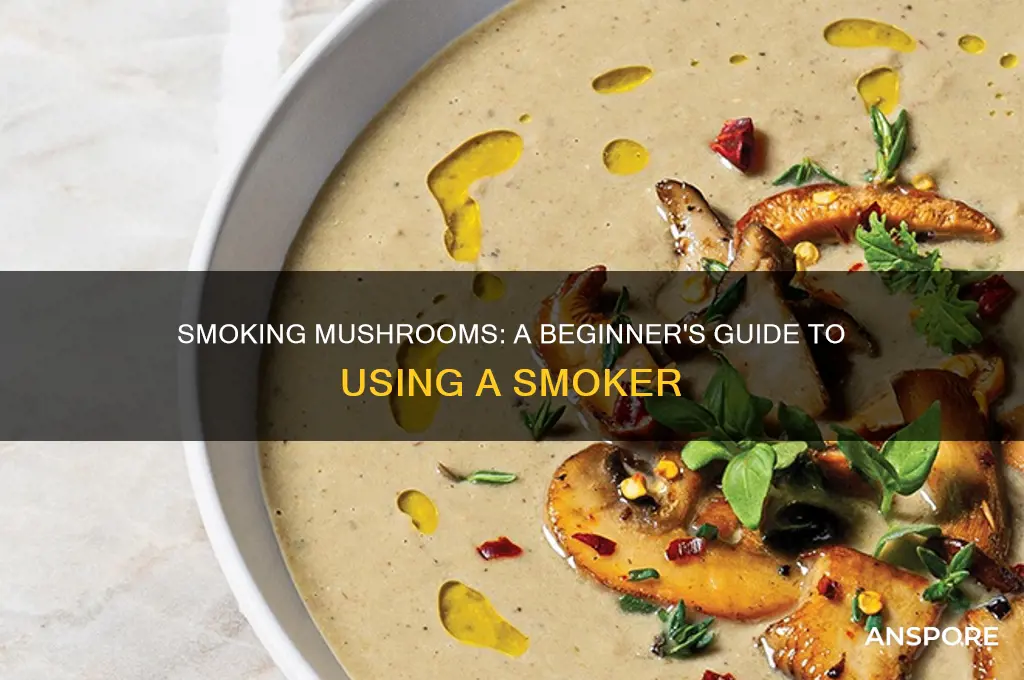 how to smoke mushrooms in a smoker