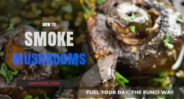 Enhancing Your Shroom Experience: Smoking Techniques