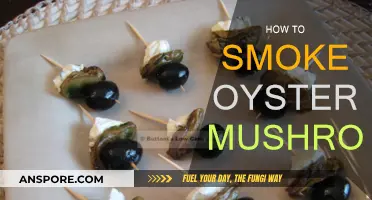 Smoking Oyster Mushrooms: A Step-by-Step Guide