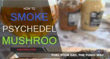 Tripping on Shrooms: A Guide to Smoking Mushrooms