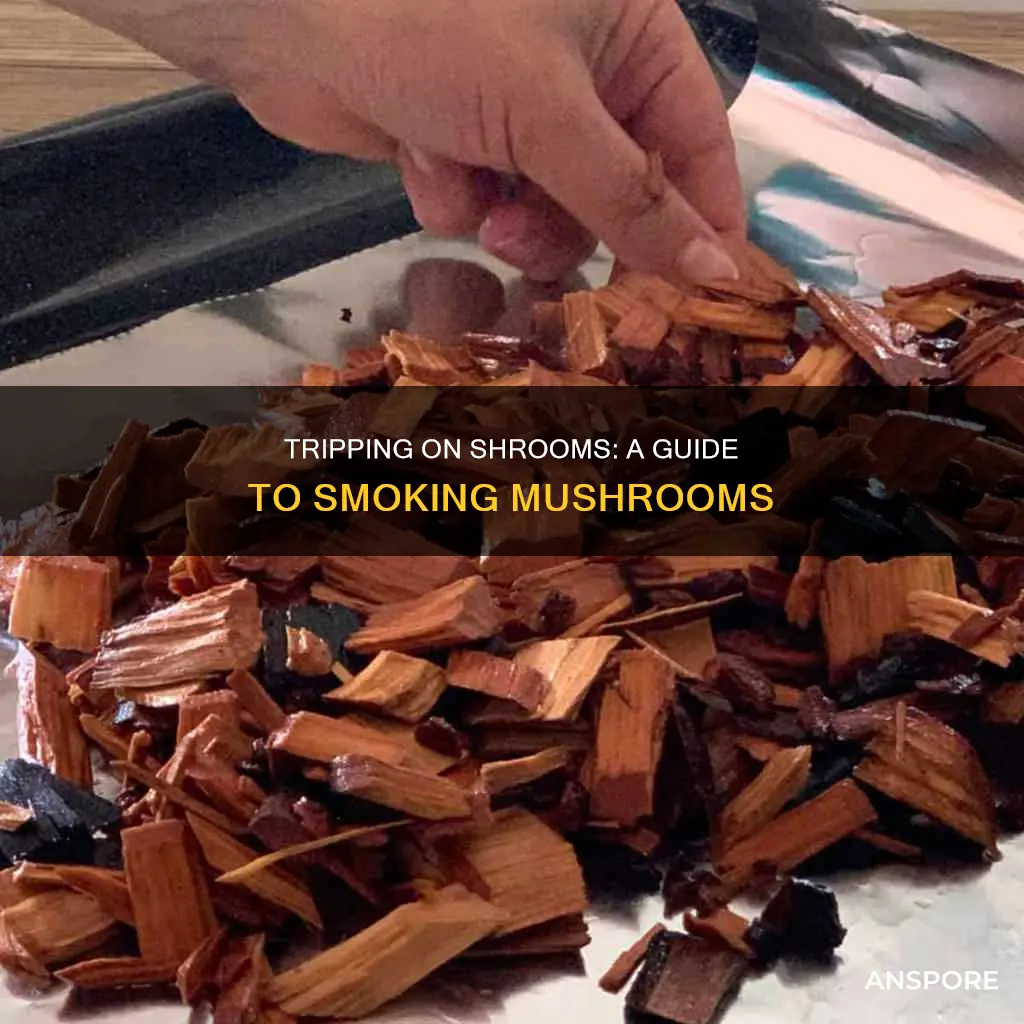 how to smoke psychedelic mushrooms