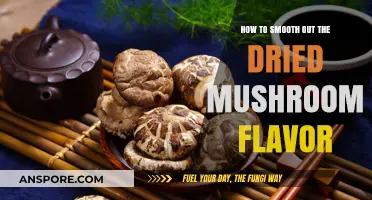 Enhance Your Dishes: Tips to Smooth Dried Mushroom Flavor