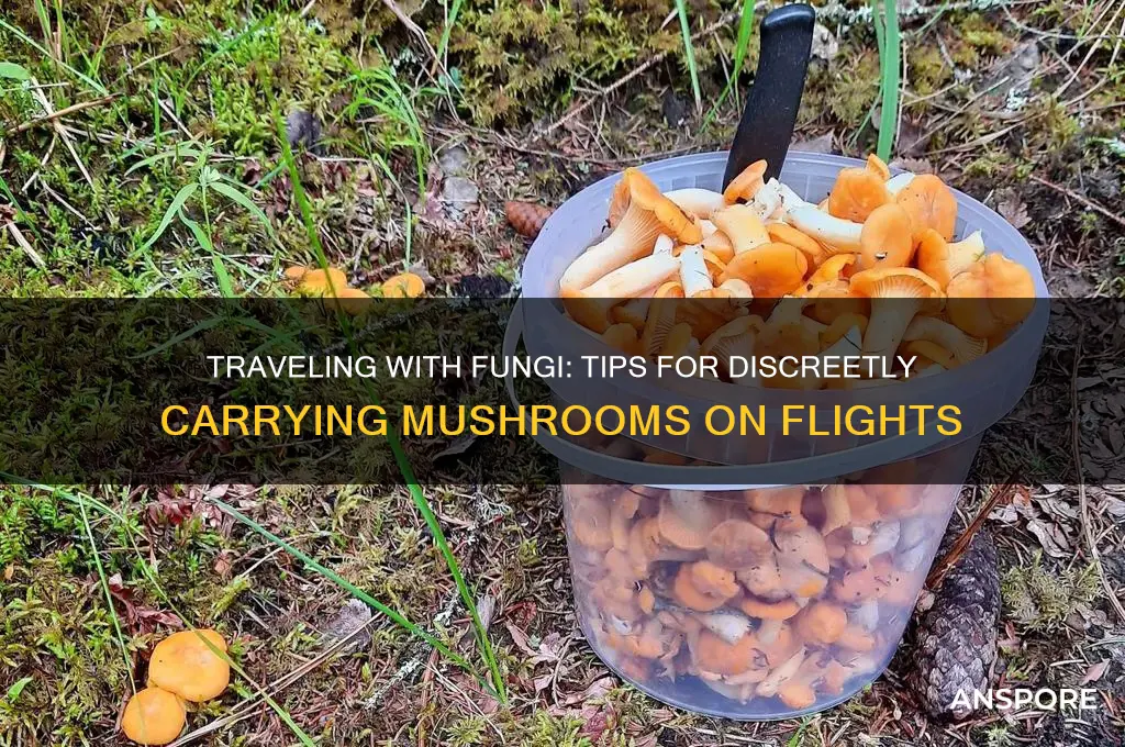 how to smuggle mushrooms on a plane