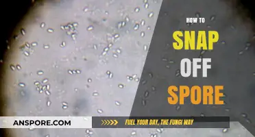Mastering Spore Removal: Quick Tips to Snap Off Spores Safely