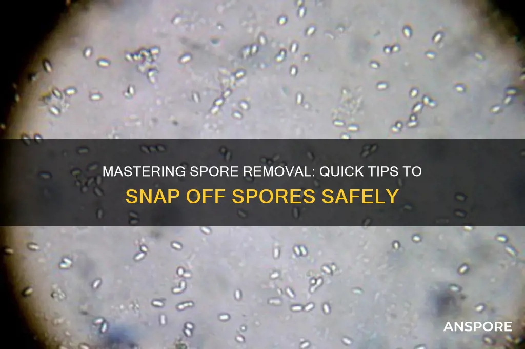 how to snap off spore
