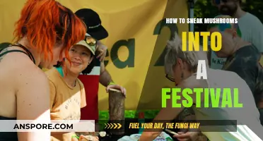 Festival-Proof Mushroom Hacks: Sneaky Tips for a Magical Experience