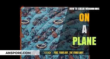 Flying with Fungi: Clever Tips to Sneak Mushrooms on a Plane