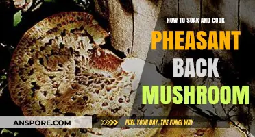 Mastering Pheasant Back Mushrooms: Soaking and Cooking Techniques Revealed
