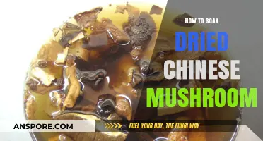 Mastering the Art of Soaking Dried Chinese Mushrooms for Perfect Flavor