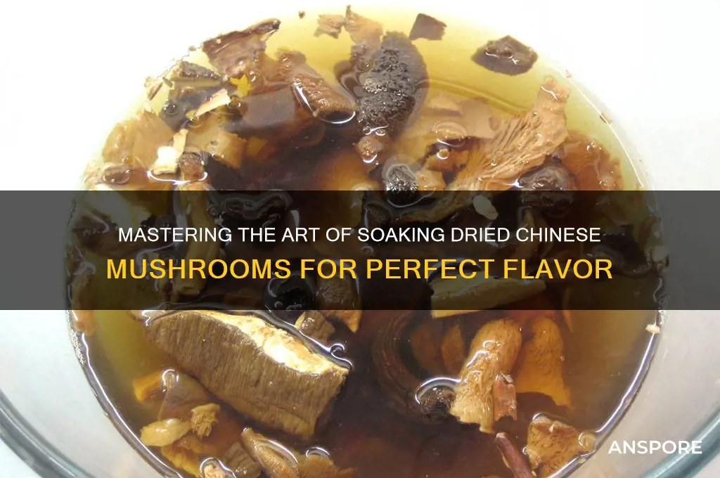 how to soak dried chinese mushrooms
