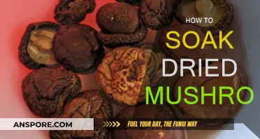 The Magic of Soaking Dried Mushrooms