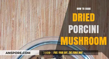 Mastering the Art of Soaking Dried Porcini Mushrooms for Perfect Flavor