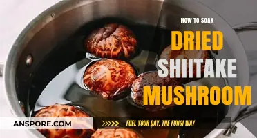 Mastering the Art of Soaking Dried Shiitake Mushrooms for Perfect Flavor