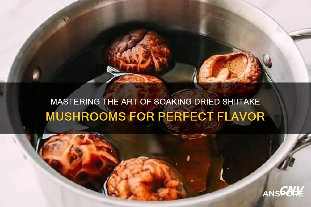 how to soak dried shiitake mushrooms