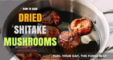 Mastering the Art of Soaking Dried Shiitake Mushrooms for Perfect Texture