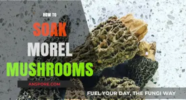 Mastering Morel Soaking: A Simple Guide to Preparing Morel Mushrooms