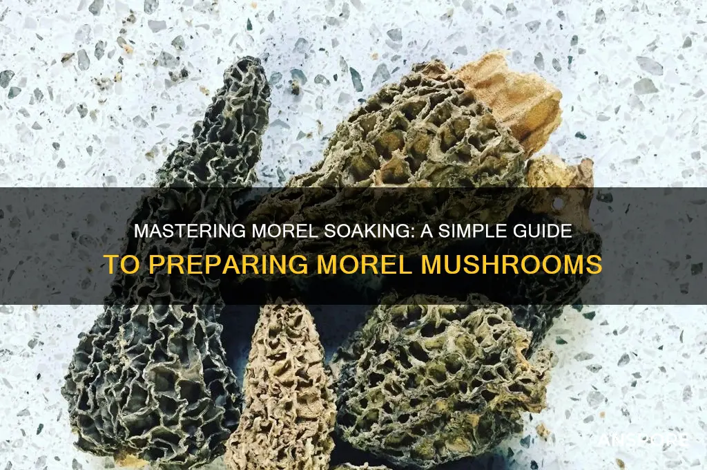how to soak morel mushrooms
