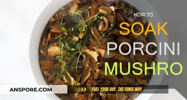 The Ultimate Guide to Soaking Porcini Mushrooms