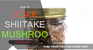 Shiitake Soaking: Quick Tips for Flavorful Mushrooms