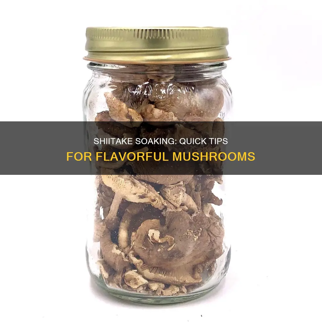 how to soak shiitake mushrooms