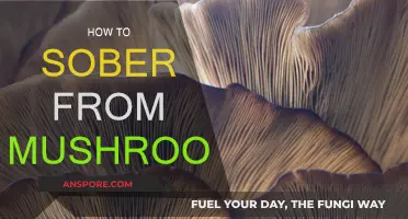 Tripping on Mushrooms? Here's How to Sober Up